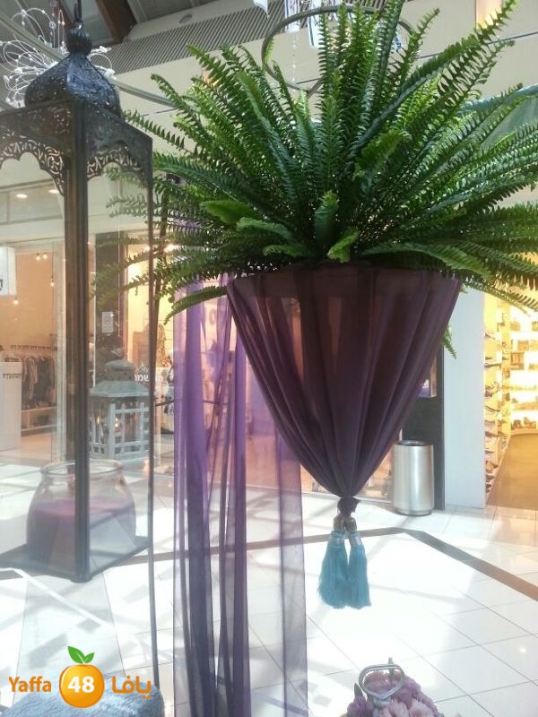 abushmaissunday414 (4).JPG